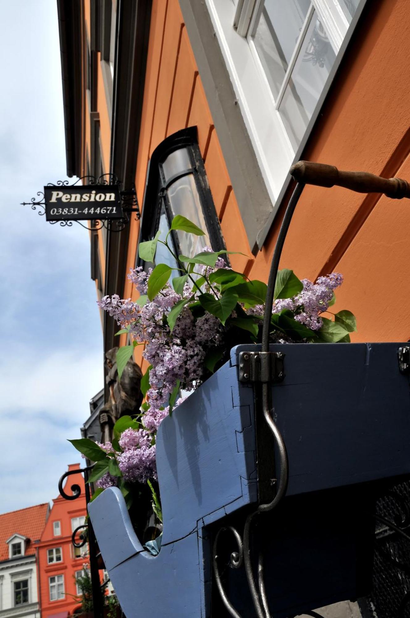 Pension Altstadt Moench In Top Lage Preis Inclusive 5 Prozent Bettensteuer Und Fruehstueck Stralsund Exterior foto